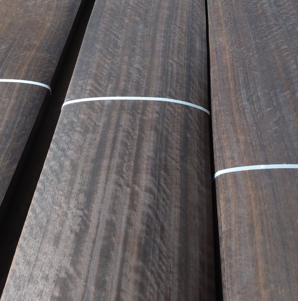 Picture of Eucalyptus