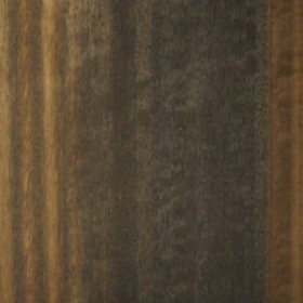 Picture of Eucalyptus QC