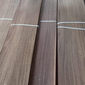 Picture of Eucalyptus QC