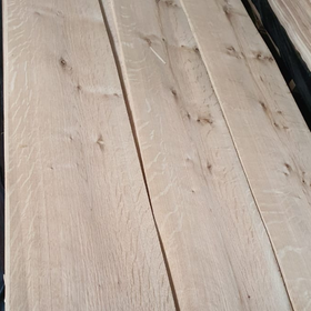 Picture of Eucalyptus QC