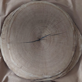 Picture of Eucalyptus QC